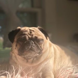 Meet your Posher, Madeline